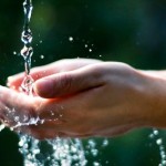 acqua acqua