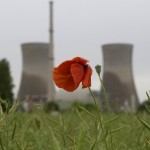 A poppy is seen in front of the German E A poppy is seen in front of the German E